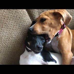 Meet your Posher, Jason